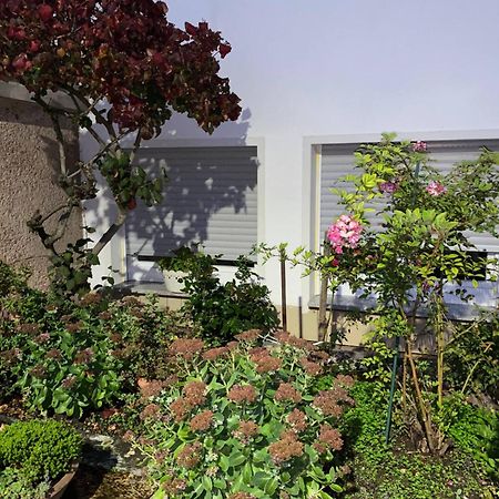 Moderne Souterrain-Oase In Top-Lage Bad Hersfeld Εξωτερικό φωτογραφία